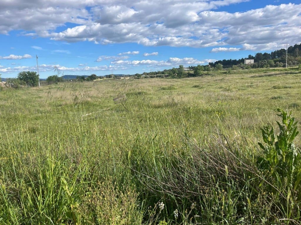 Terrain à Bâtir à vendre à Almansa - 60 000 € (Ref: 9790926)