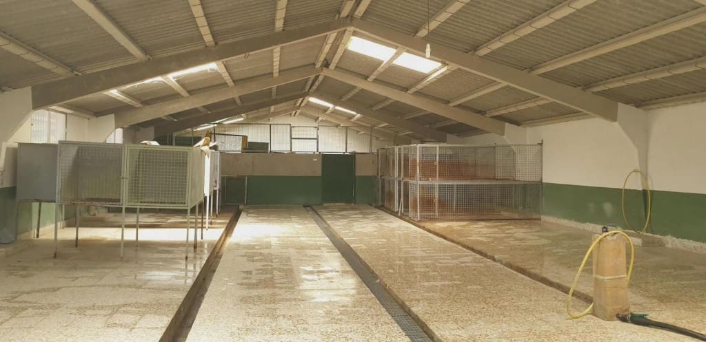 3 soverom Finca/Herregård til salgs i Belinchon med garasje - € 1 500 000 (Ref: 9790927)