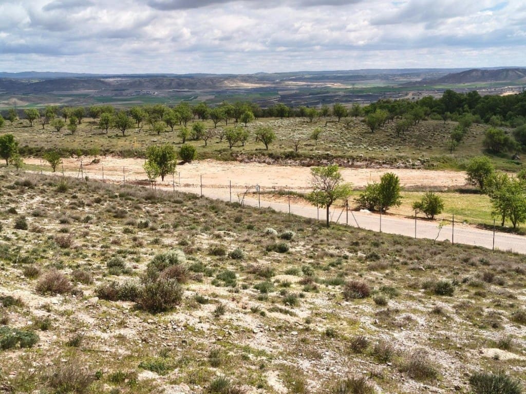 3 soverom Finca/Herregård til salgs i Belinchon med garasje - € 1 500 000 (Ref: 9790927)