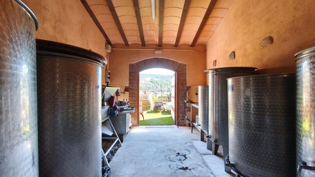 Undeveloped Land for sale in El Molar - € 400,000 (Ref: 9796966)