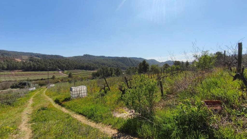 Undeveloped Land for sale in El Molar - € 400,000 (Ref: 9796966)