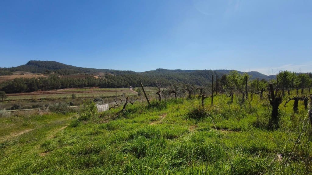 Undeveloped Land for sale in El Molar - € 400,000 (Ref: 9796966)