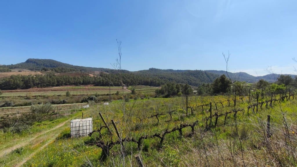 Undeveloped Land for sale in El Molar - € 400,000 (Ref: 9796966)