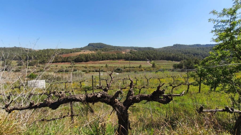 Undeveloped Land for sale in El Molar - € 400,000 (Ref: 9796966)