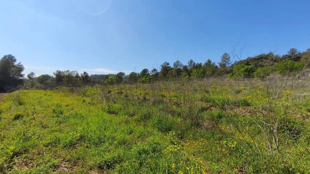 Undeveloped Land for sale in El Molar - € 400,000 (Ref: 9796966)