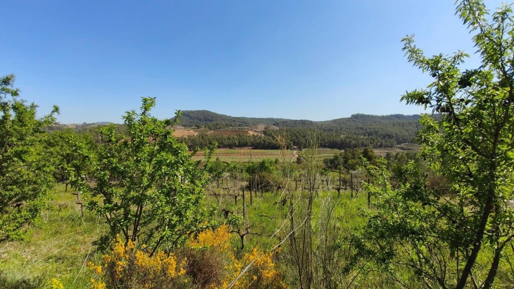 Undeveloped Land for sale in El Molar - € 400,000 (Ref: 9796966)