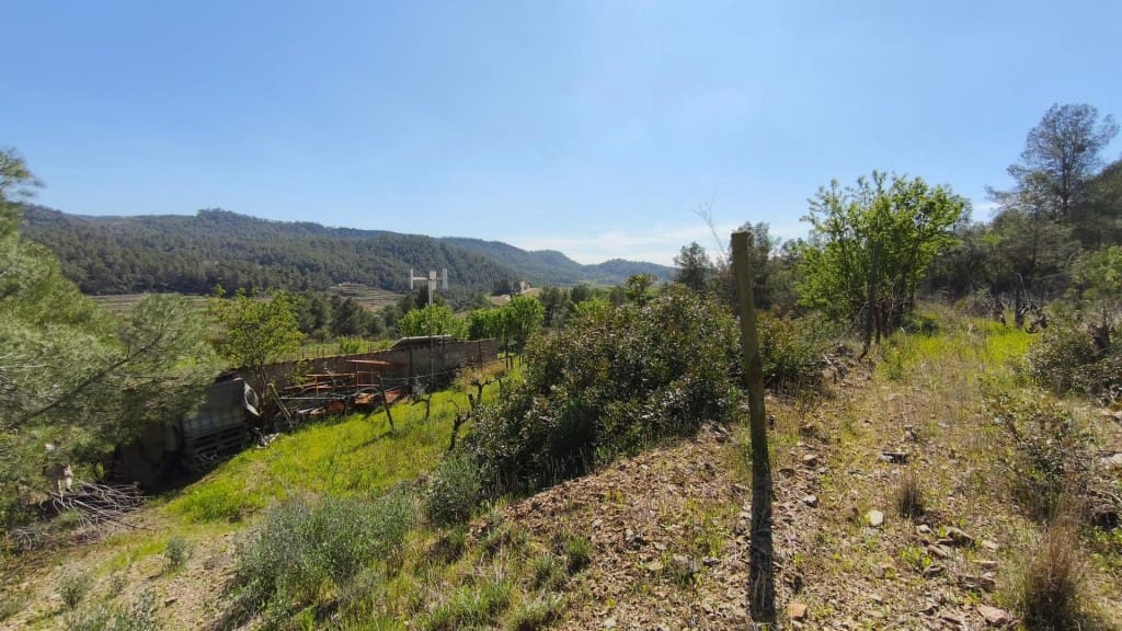 Undeveloped Land for sale in El Molar - € 400,000 (Ref: 9796966)