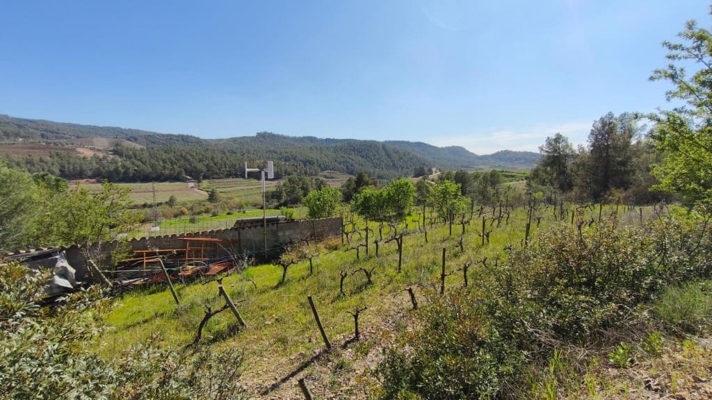 Undeveloped Land for sale in El Molar - € 400,000 (Ref: 9796966)