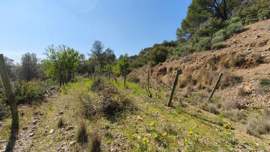 Undeveloped Land for sale in El Molar - € 400,000 (Ref: 9796966)