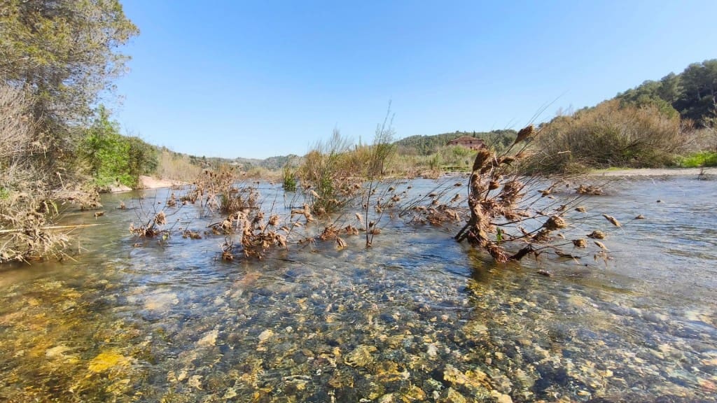Undeveloped Land for sale in El Molar - € 400,000 (Ref: 9796966)