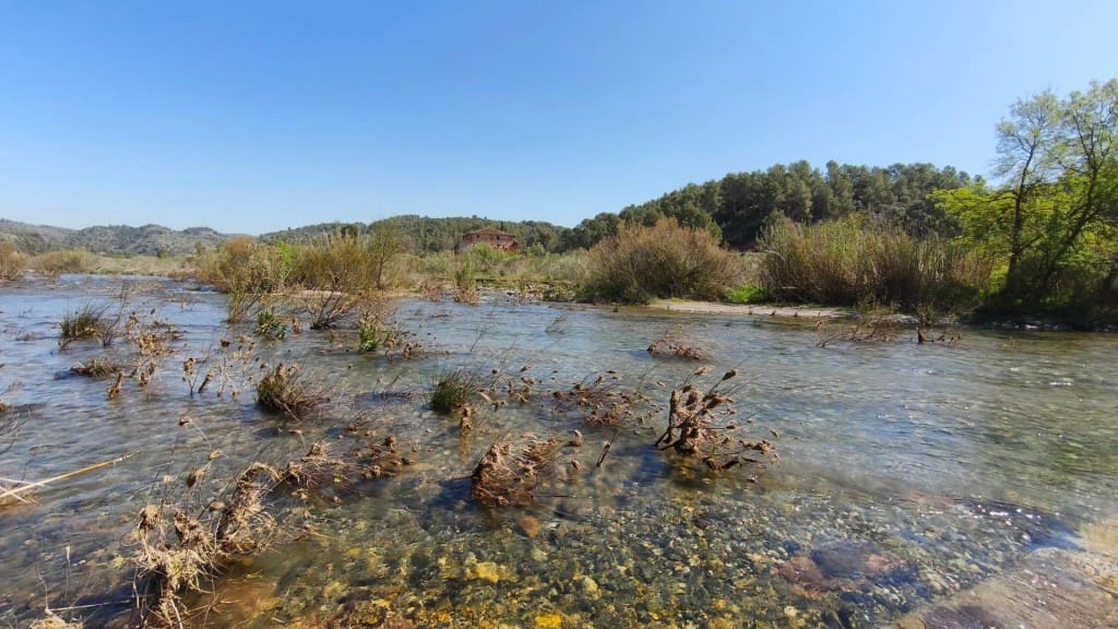 Undeveloped Land for sale in El Molar - € 400,000 (Ref: 9796966)