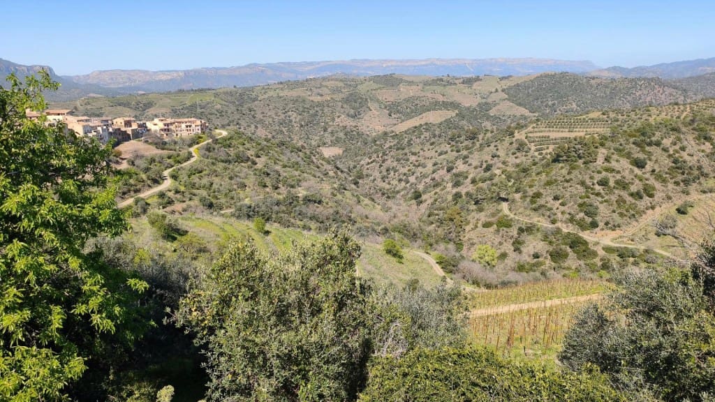 Undeveloped Land for sale in El Molar - € 400,000 (Ref: 9796966)