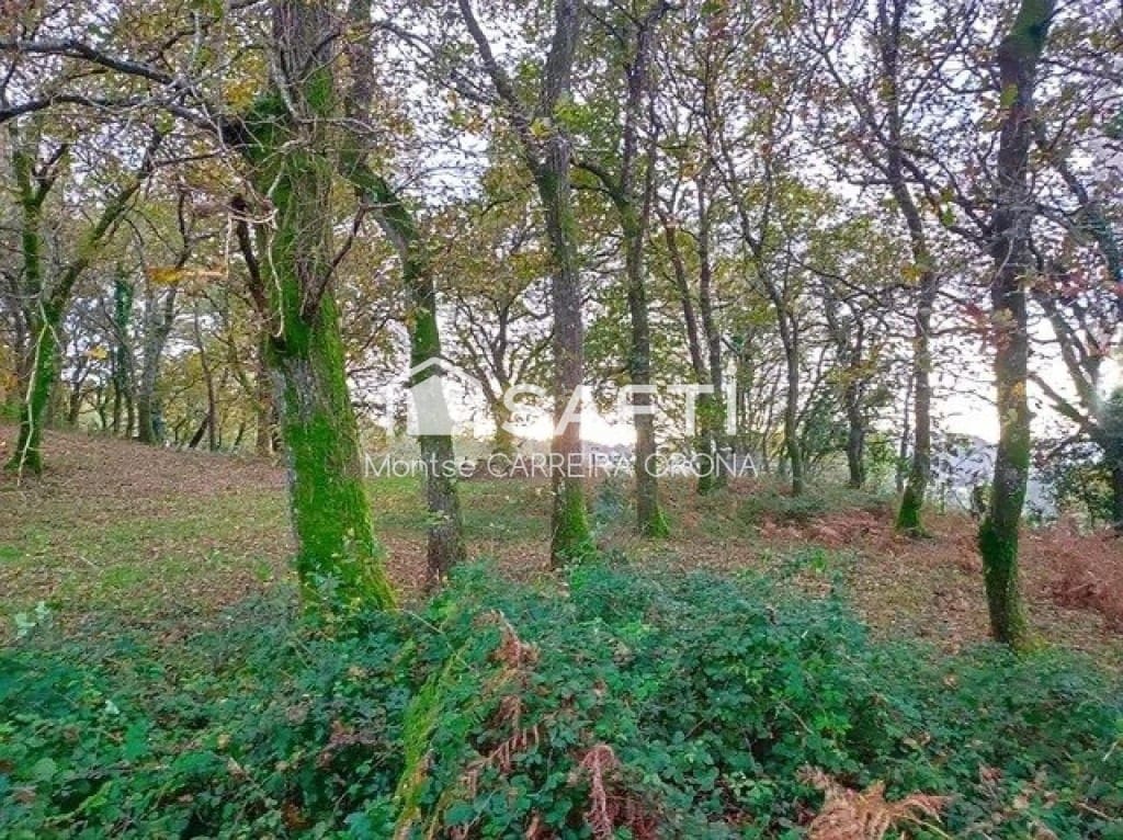 Finca/Casa Rural de 1 habitación en A Estrada en venta - 72.000 € (Ref: 9806346)