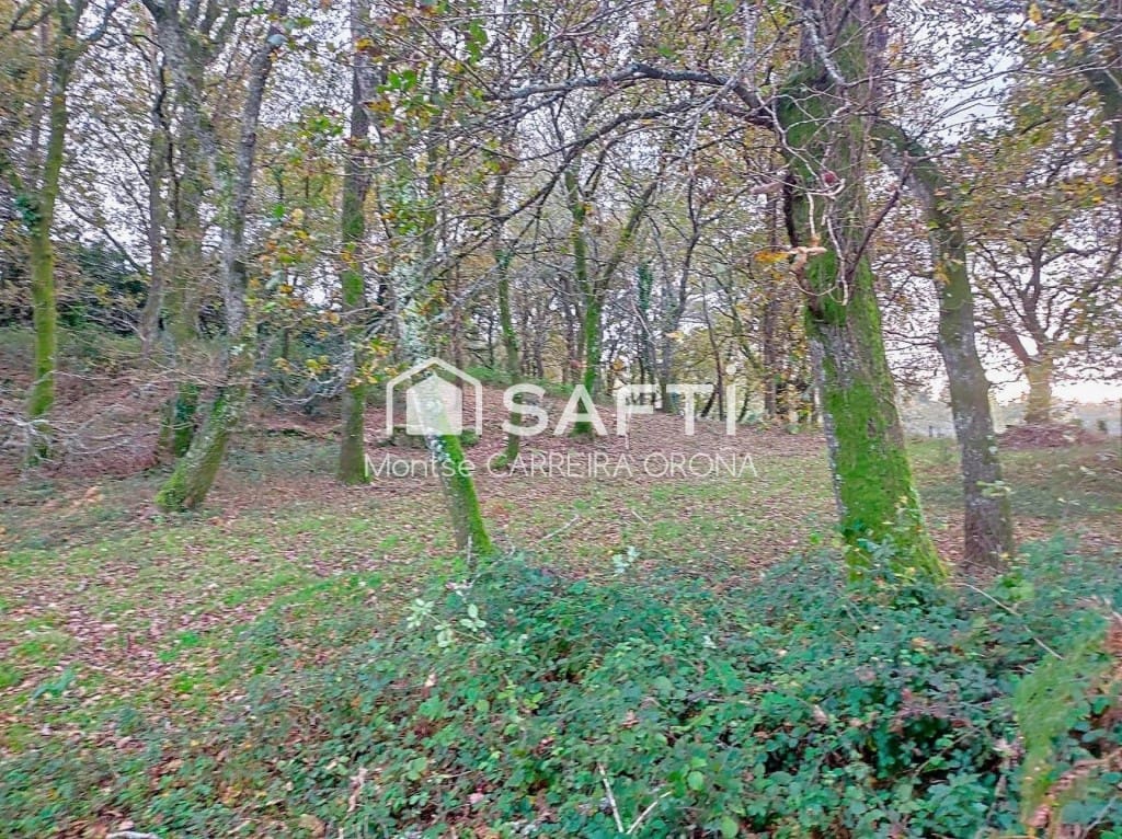 Finca/Casa Rural de 1 habitación en A Estrada en venta - 72.000 € (Ref: 9806346)