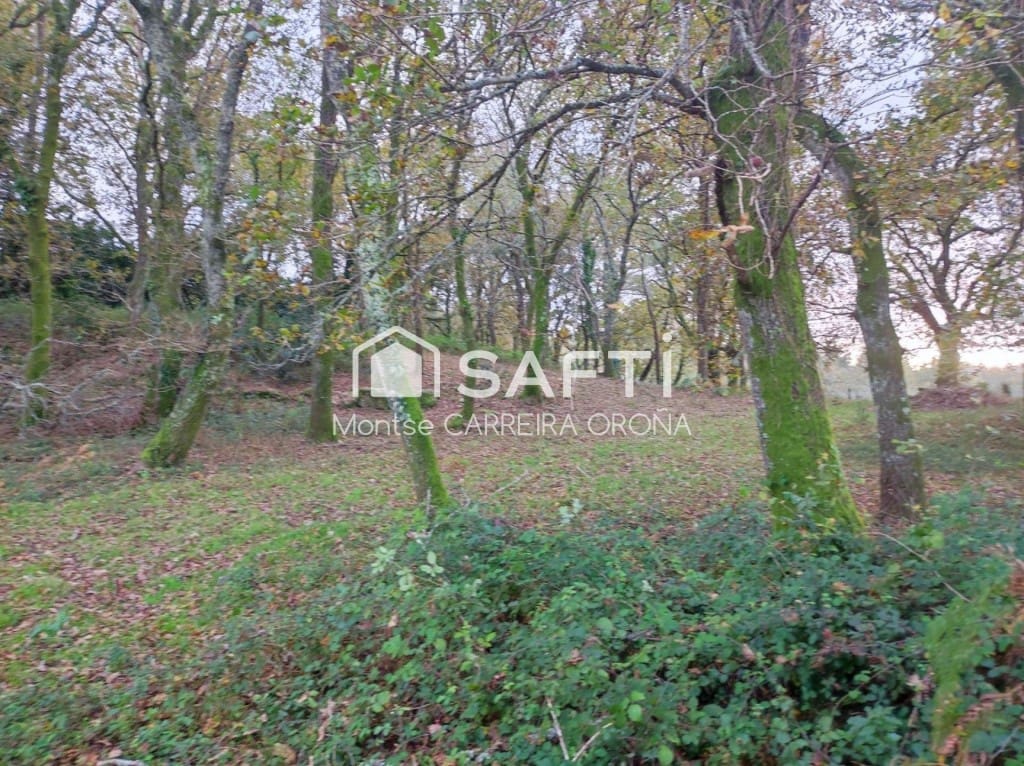 Finca/Casa Rural de 1 habitación en A Estrada en venta - 72.000 € (Ref: 9806346)