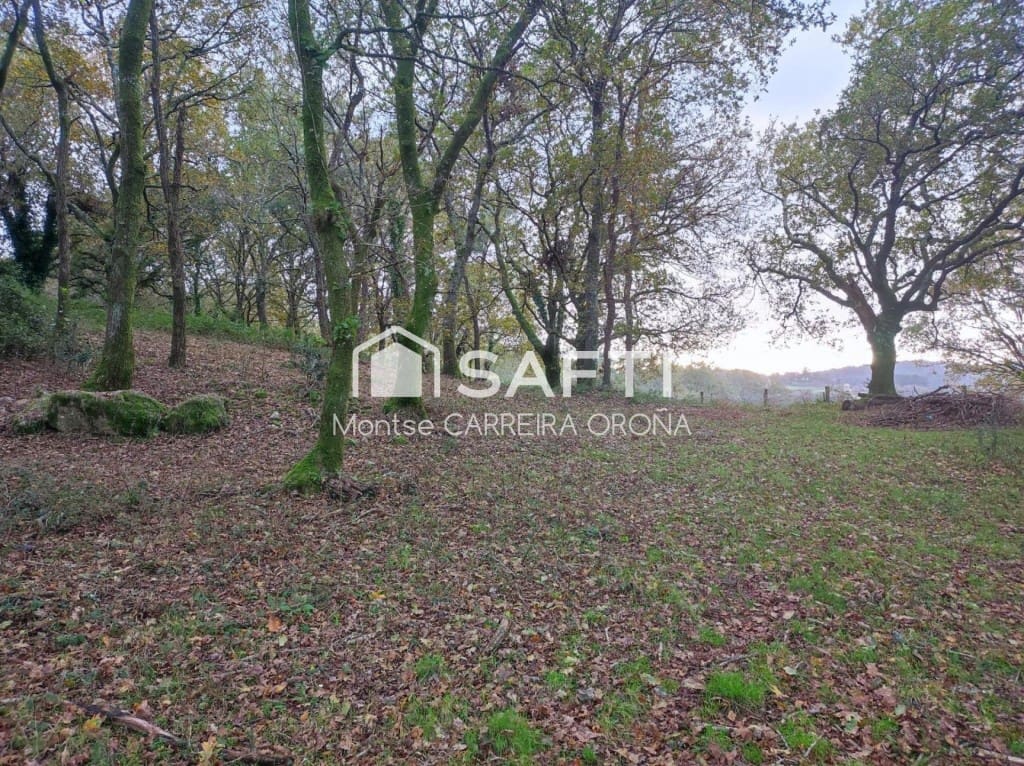 Finca/Casa Rural de 1 habitación en A Estrada en venta - 72.000 € (Ref: 9806346)