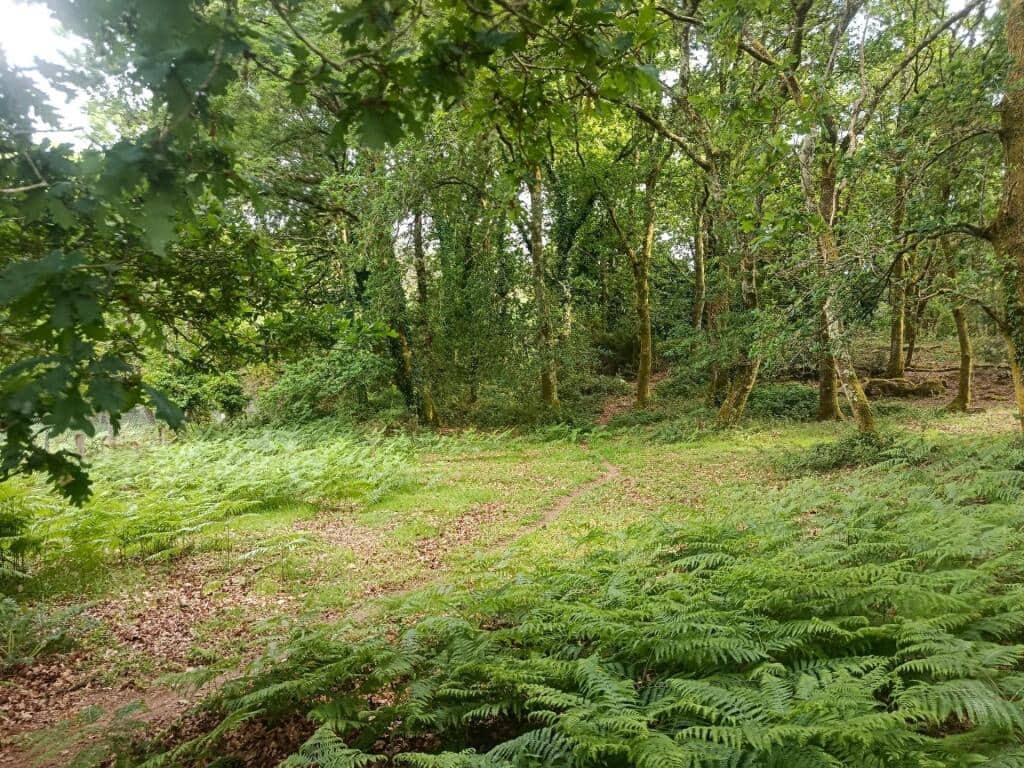 1 sovrum Finca/Hus på landet till salu i A Estrada - 72 000 € (Ref: 9806346)