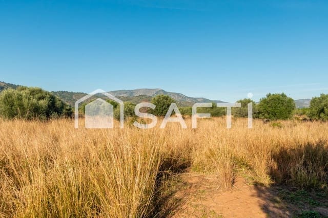 Mark till salu i Oropesa  - 125 000 € (Ref: 9811454)