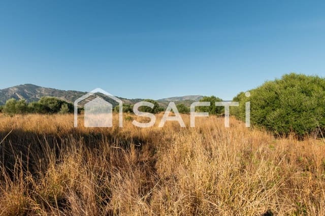 Mark till salu i Oropesa  - 125 000 € (Ref: 9811454)