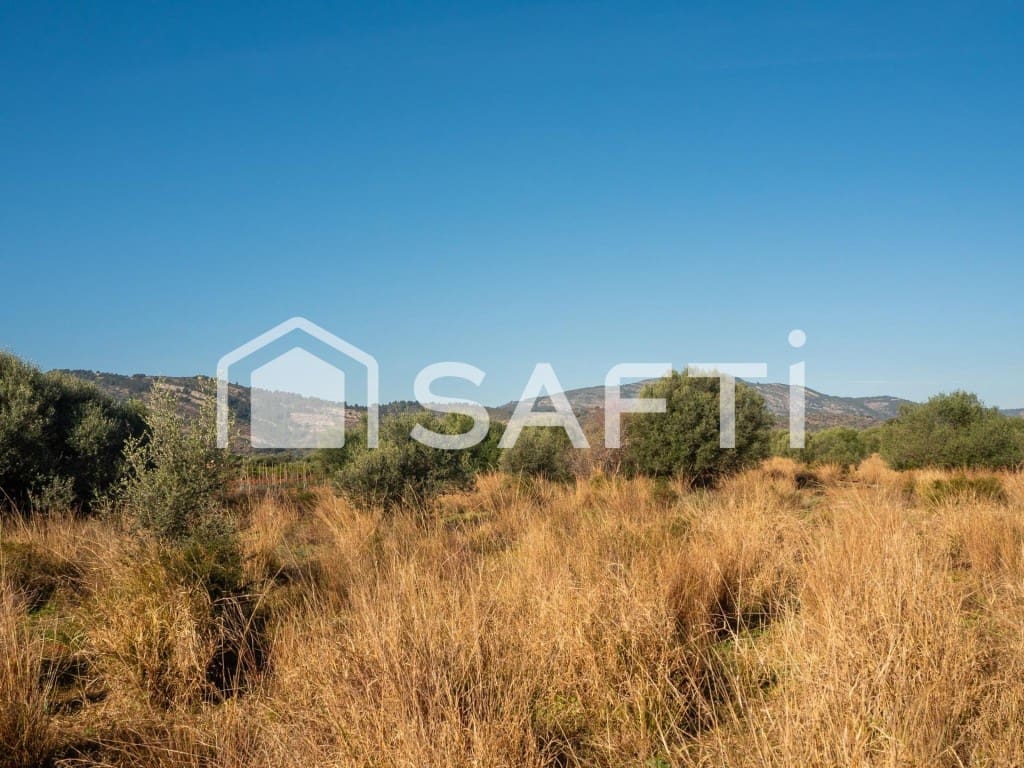 Mark till salu i Oropesa  - 125 000 € (Ref: 9811454)