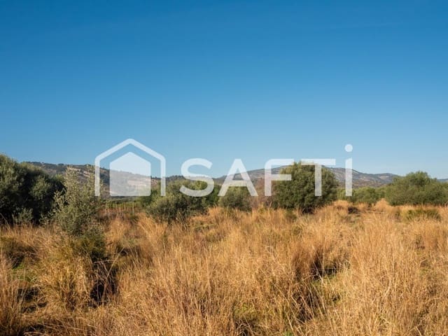 Mark till salu i Oropesa  - 125 000 € (Ref: 9811454)