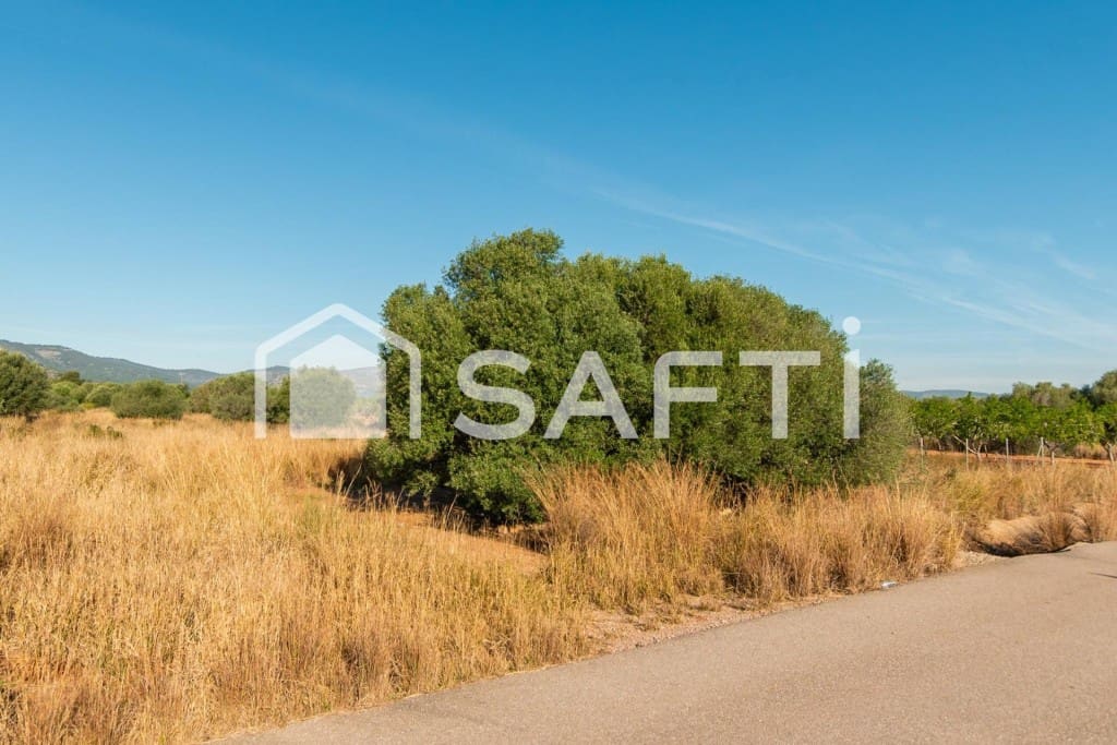 Mark till salu i Oropesa  - 125 000 € (Ref: 9811454)