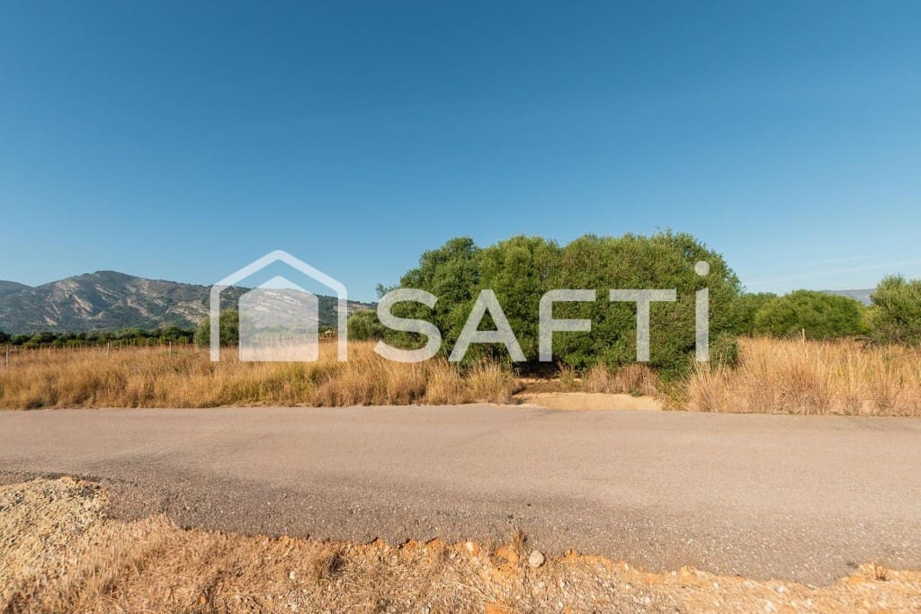 Mark till salu i Oropesa  - 125 000 € (Ref: 9811454)