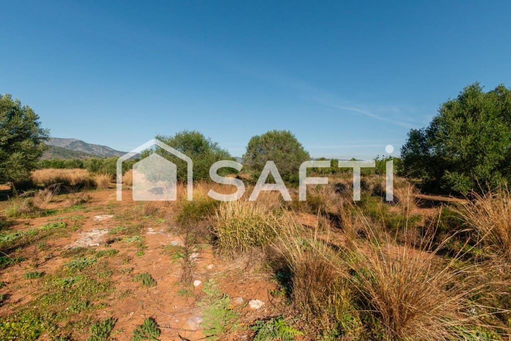 Mark till salu i Oropesa  - 125 000 € (Ref: 9811454)