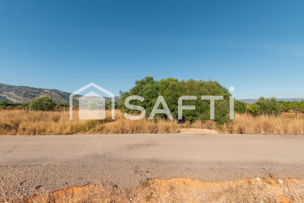 Mark till salu i Oropesa  - 125 000 € (Ref: 9811454)