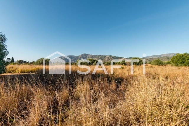 Mark till salu i Oropesa  - 125 000 € (Ref: 9811454)