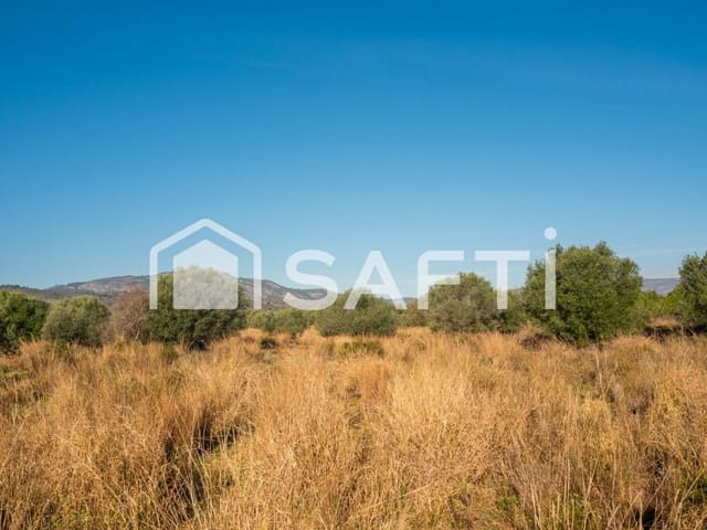 Mark till salu i Oropesa  - 125 000 € (Ref: 9811454)