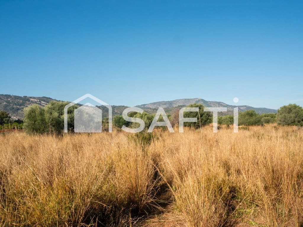 Mark till salu i Oropesa  - 125 000 € (Ref: 9811454)