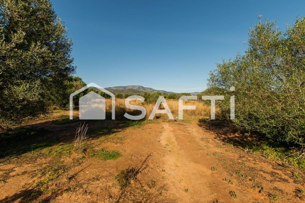 Mark till salu i Oropesa  - 125 000 € (Ref: 9811454)