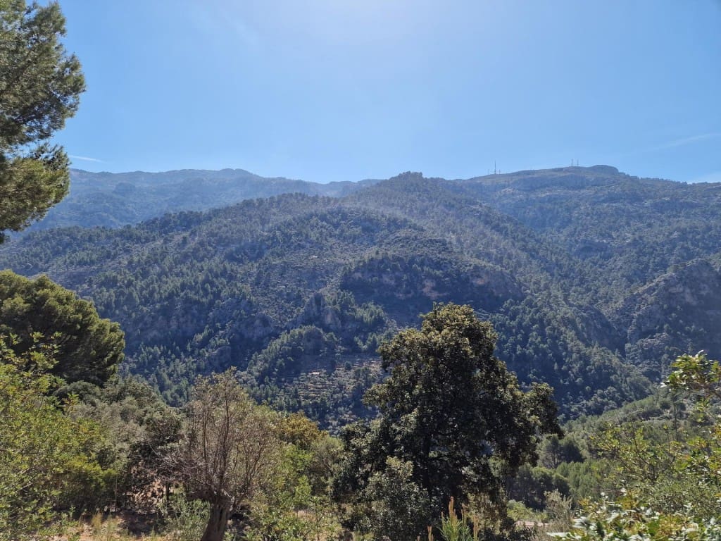 Terreno Não Urbanizado para venda em Soller - 150 000 € (Ref: 9815775)