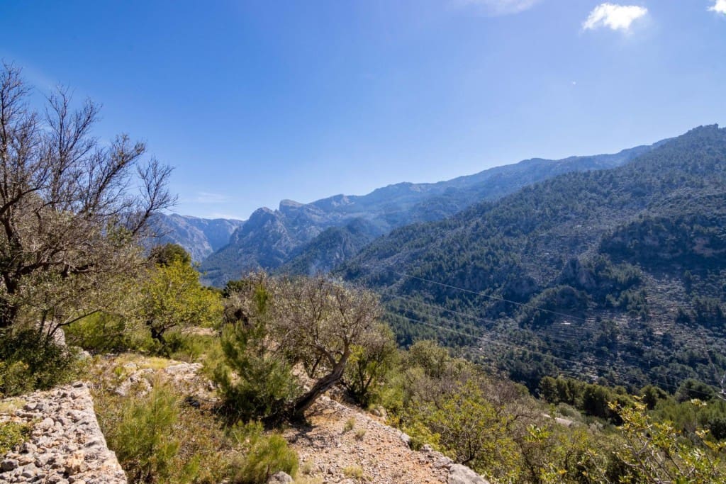 Terreno Não Urbanizado para venda em Soller - 150 000 € (Ref: 9815775)