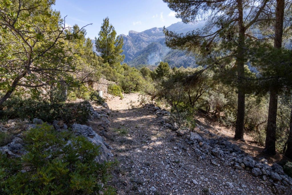 Terreno Não Urbanizado para venda em Soller - 150 000 € (Ref: 9815775)