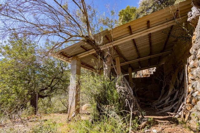 Terreno Não Urbanizado para venda em Sóller - 150 000 € (Ref: 9815775)