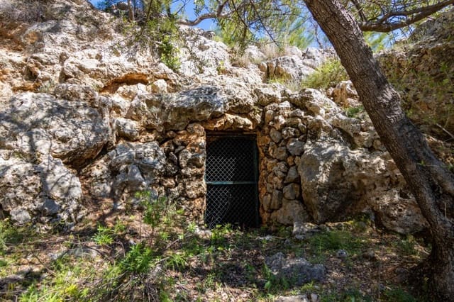 Terreno Não Urbanizado para venda em Sóller - 150 000 € (Ref: 9815775)