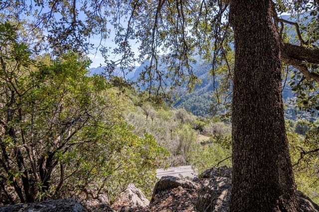 Terreno Não Urbanizado para venda em Sóller - 150 000 € (Ref: 9815775)