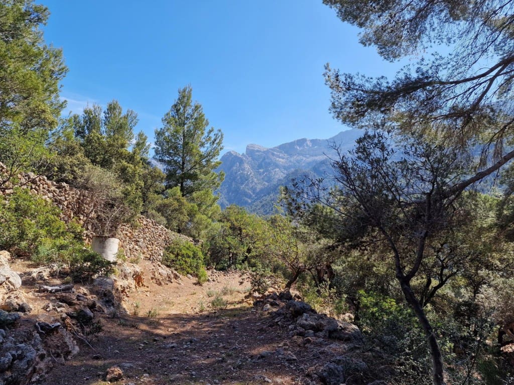 Terreno Não Urbanizado para venda em Soller - 150 000 € (Ref: 9815775)