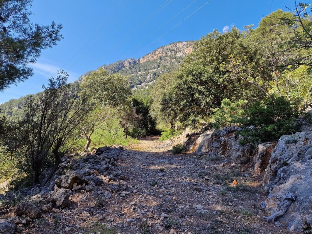 Terreno Não Urbanizado para venda em Soller - 150 000 € (Ref: 9815775)