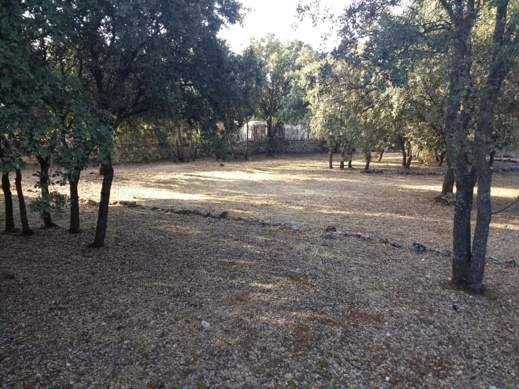 Chalet de 3 habitaciones en Pioz en venta - 328.000 € (Ref: 9817954)
