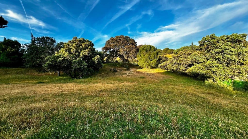 6 soveværelse Villa til salg i Las Rozas de Madrid - € 1.650.000 (Ref: 9822468)