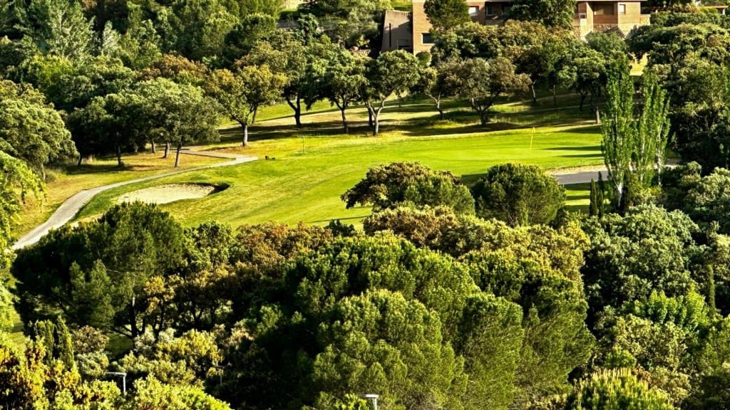 6 soveværelse Villa til salg i Las Rozas de Madrid - € 1.650.000 (Ref: 9822468)