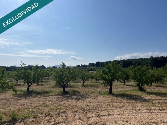 Building Plot for sale in Almansa - € 52,000 (Ref: 9831141)