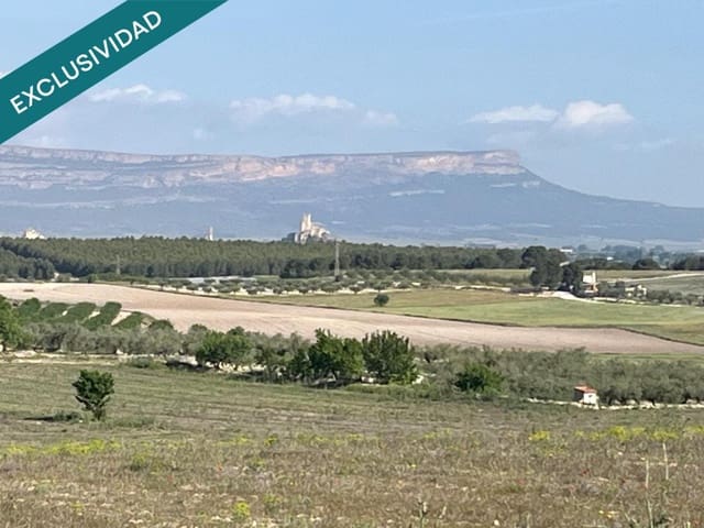 Building Plot for sale in Almansa - € 52,000 (Ref: 9831141)