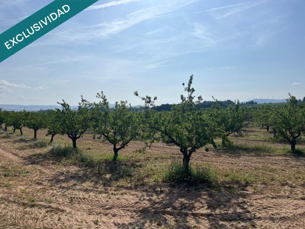 Building Plot for sale in Almansa - € 52,000 (Ref: 9831141)