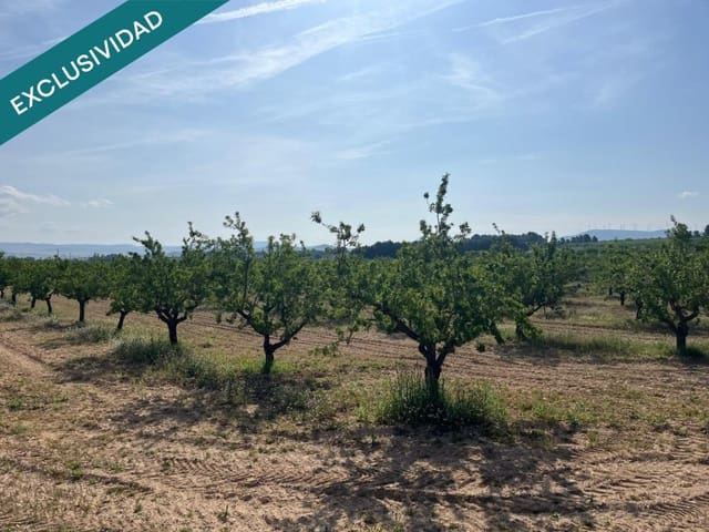 Building Plot for sale in Almansa - € 52,000 (Ref: 9831141)