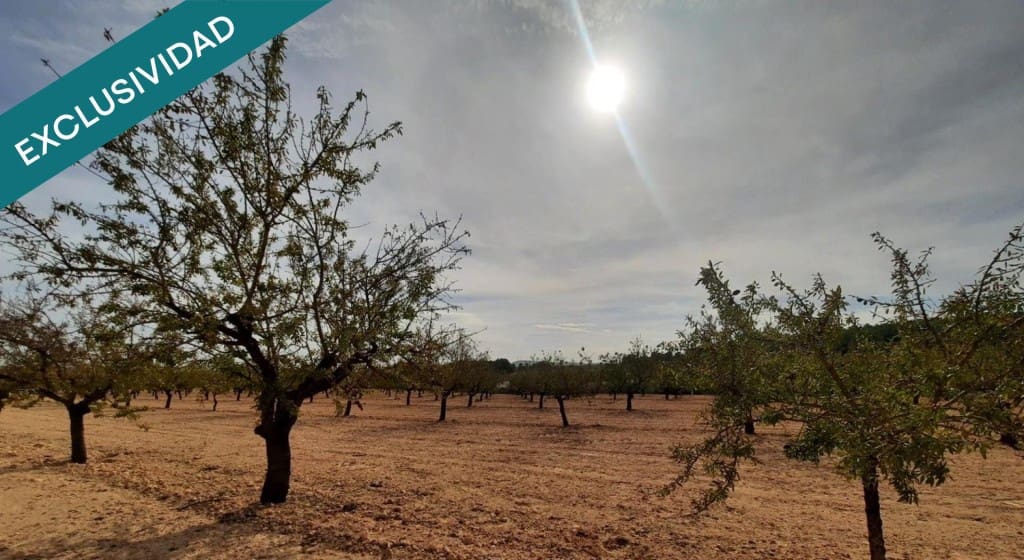 Building Plot for sale in Almansa - € 52,000 (Ref: 9831141)
