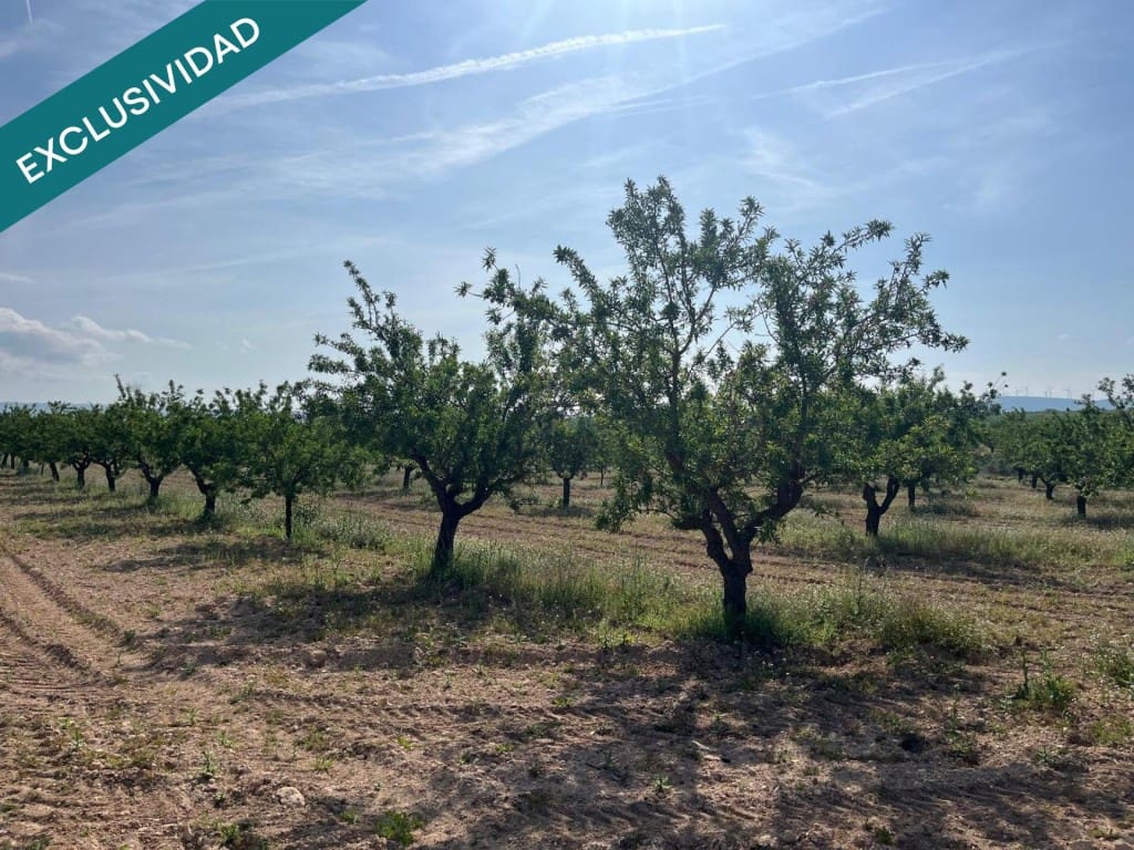 Building Plot for sale in Almansa - € 52,000 (Ref: 9831141)